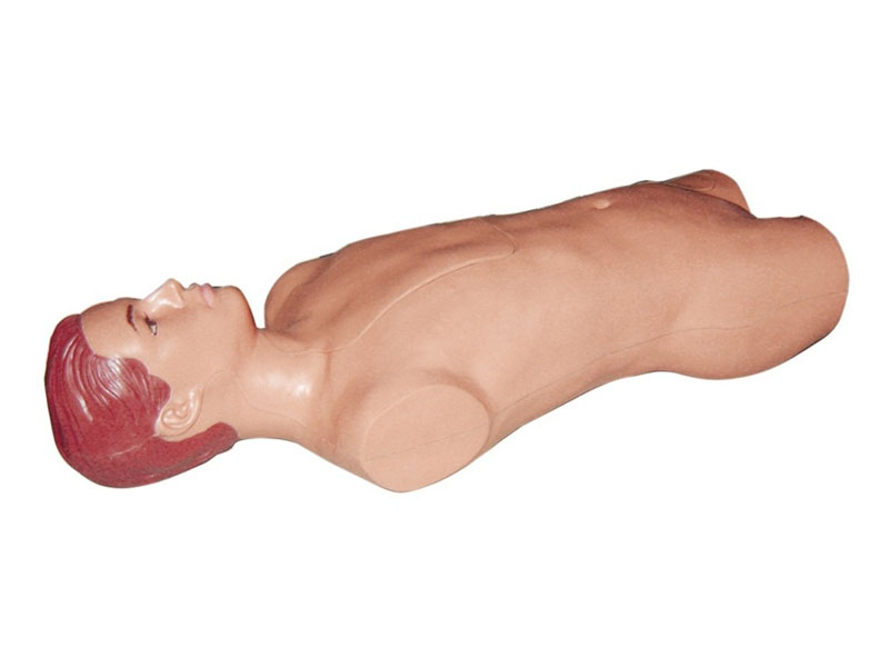 腹部移动性浊叩诊与腹腔穿刺训练模型