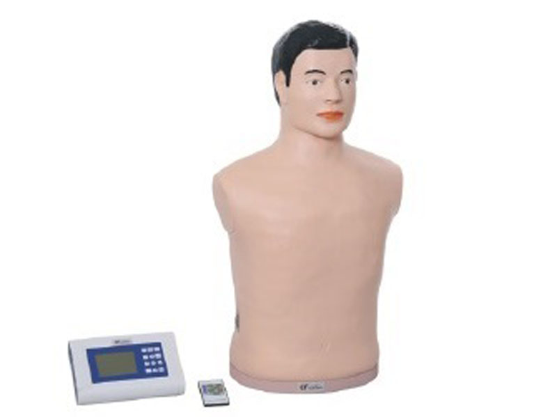 数字遥控式心肺听诊触诊模拟人（单机版）