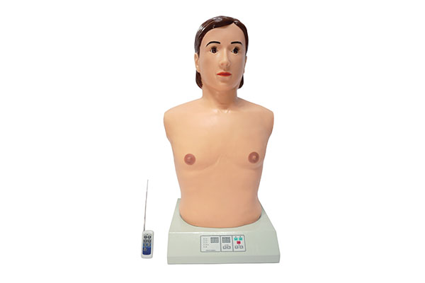 数字遥控式电脑胸部心肺听诊模拟人(单机版）