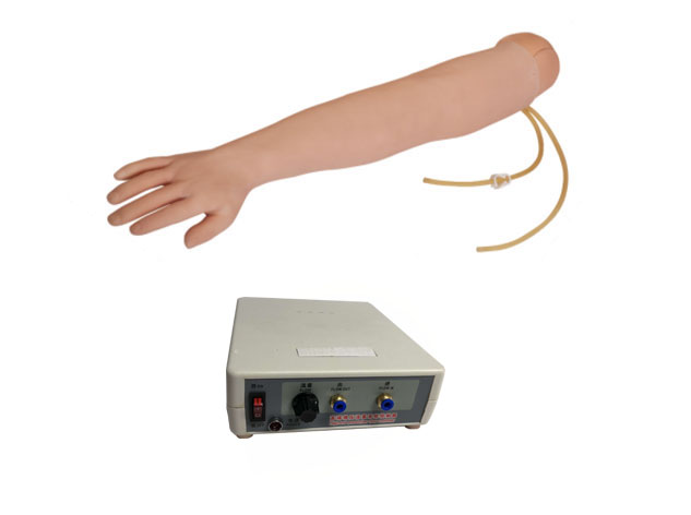   ​全功能静脉穿刺输液手臂模型（电子血液循环装置）