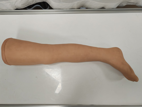 针灸腿部训练模型