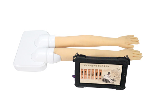交互式针灸手臂多媒体教学系统LEG300